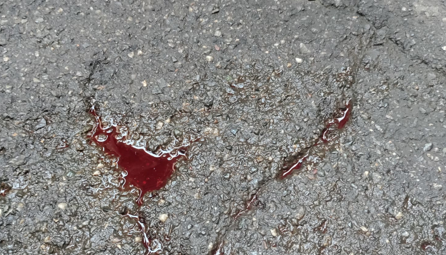 Blood on the pavement in Turin